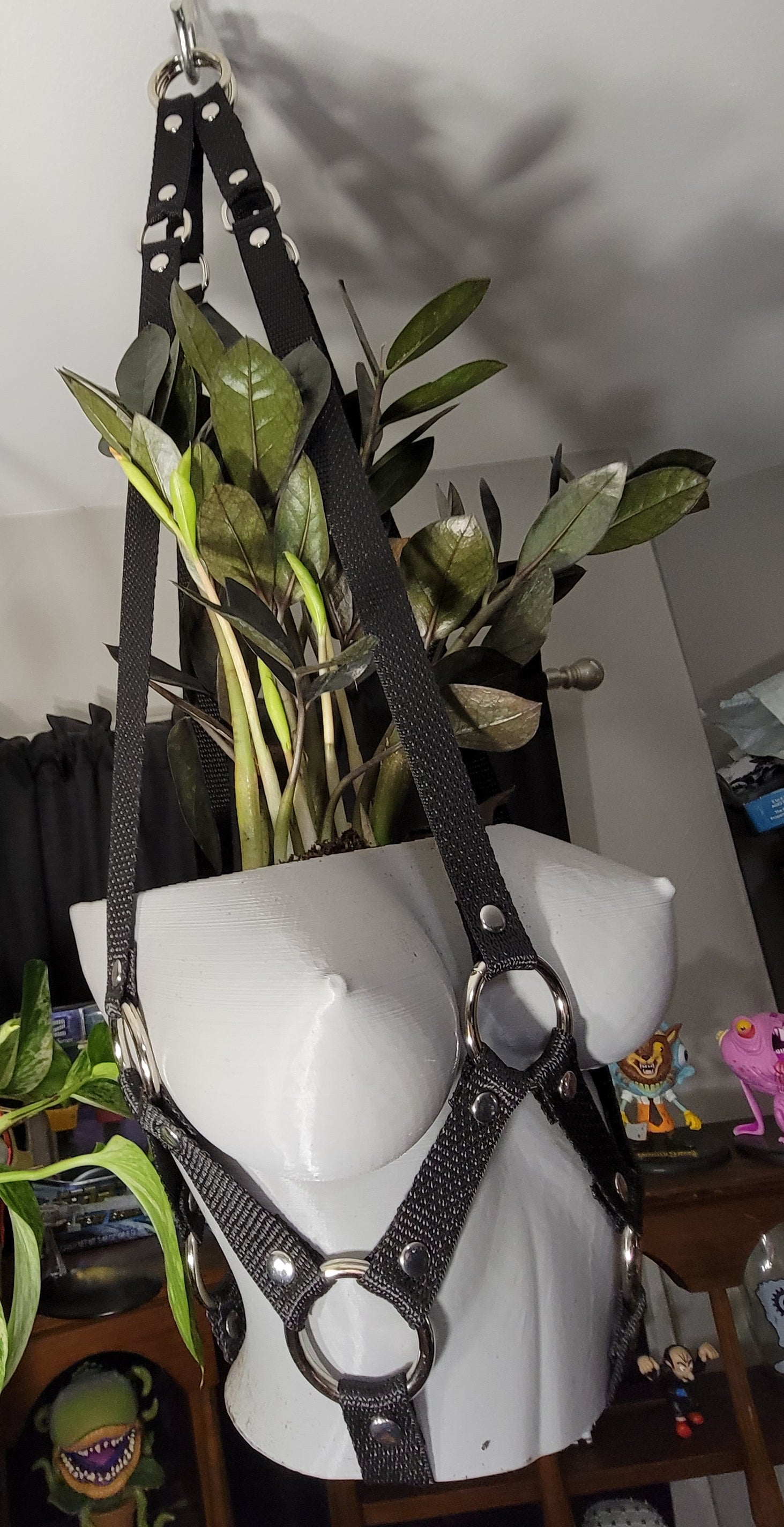 Bondage Plant Hangers