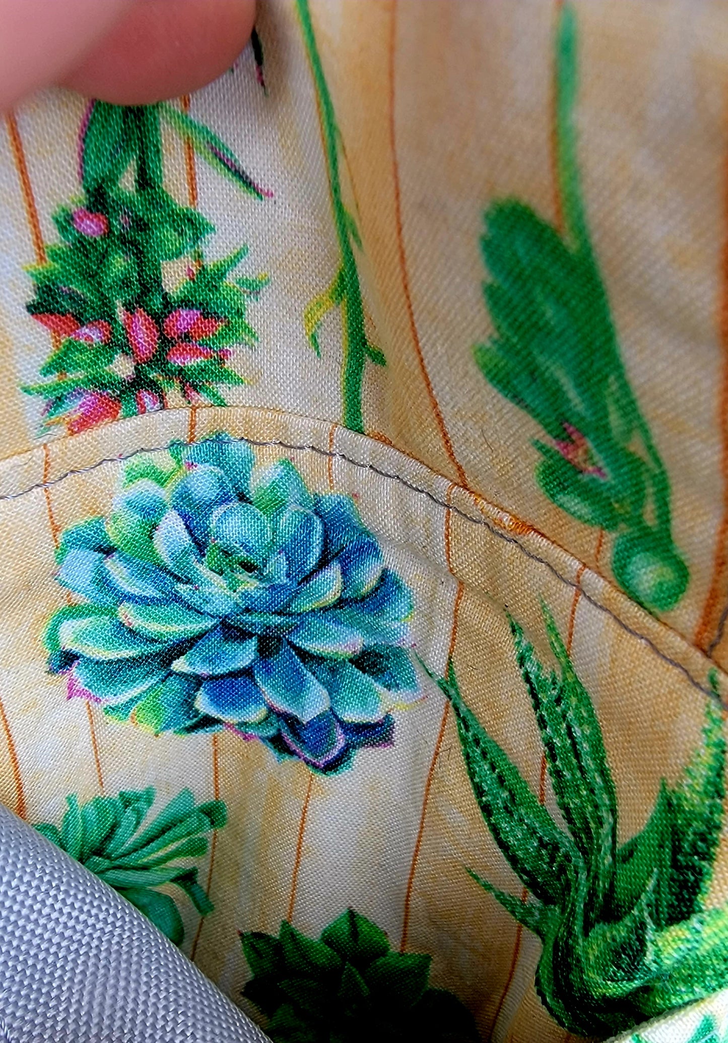 Small Plant Purse Succulants